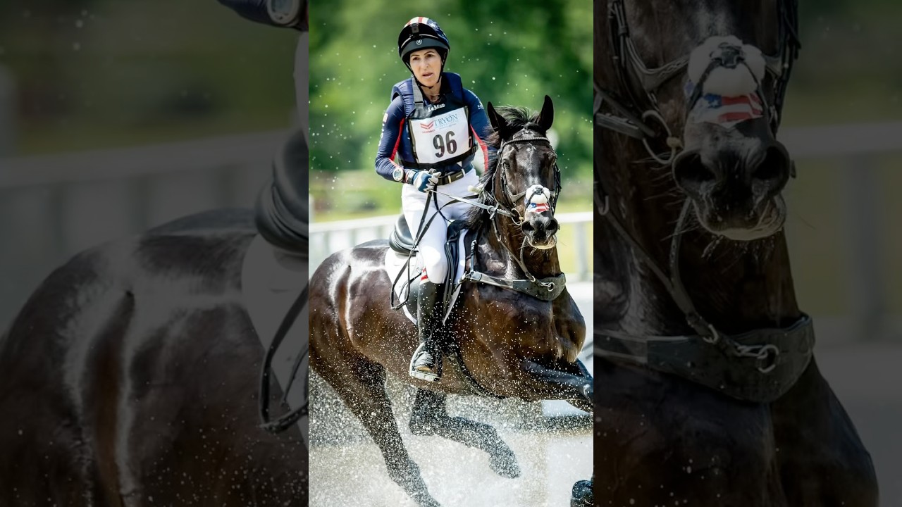 That’s A Wrap! 2025 