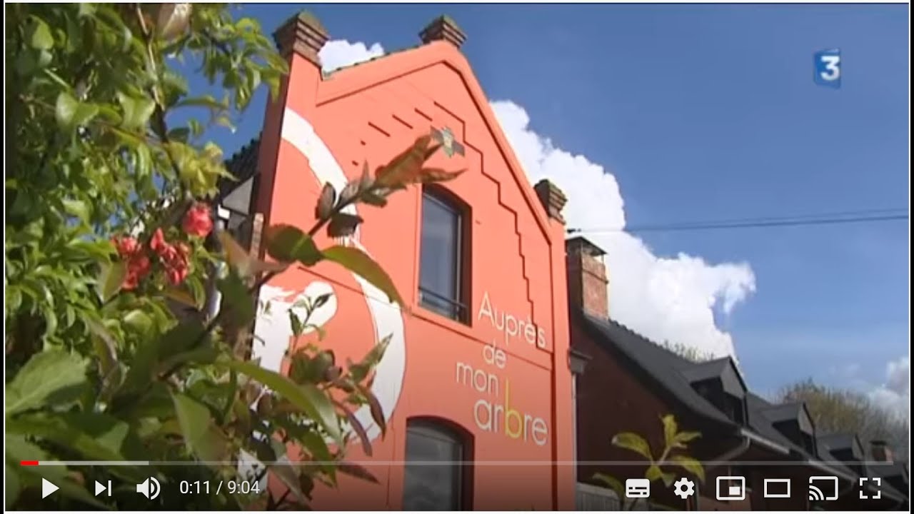 France 3 en reportage à Auprès de mon Arbre