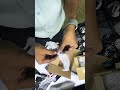 Epson L3110 pump assy unboxing #epson #unboxing #new#viral