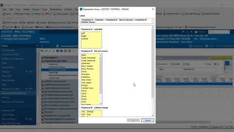 Peripheral IV Cannula Insertion