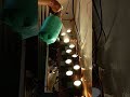 waterproof wall down light #waterproof #lighting #vairalvideo #home #short #electrician