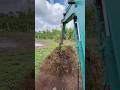 Pembersihan Sisa Akar, pembuatan Lahan Baru #farming #agriculture #teknikpertanian #kopisehat #fyp
