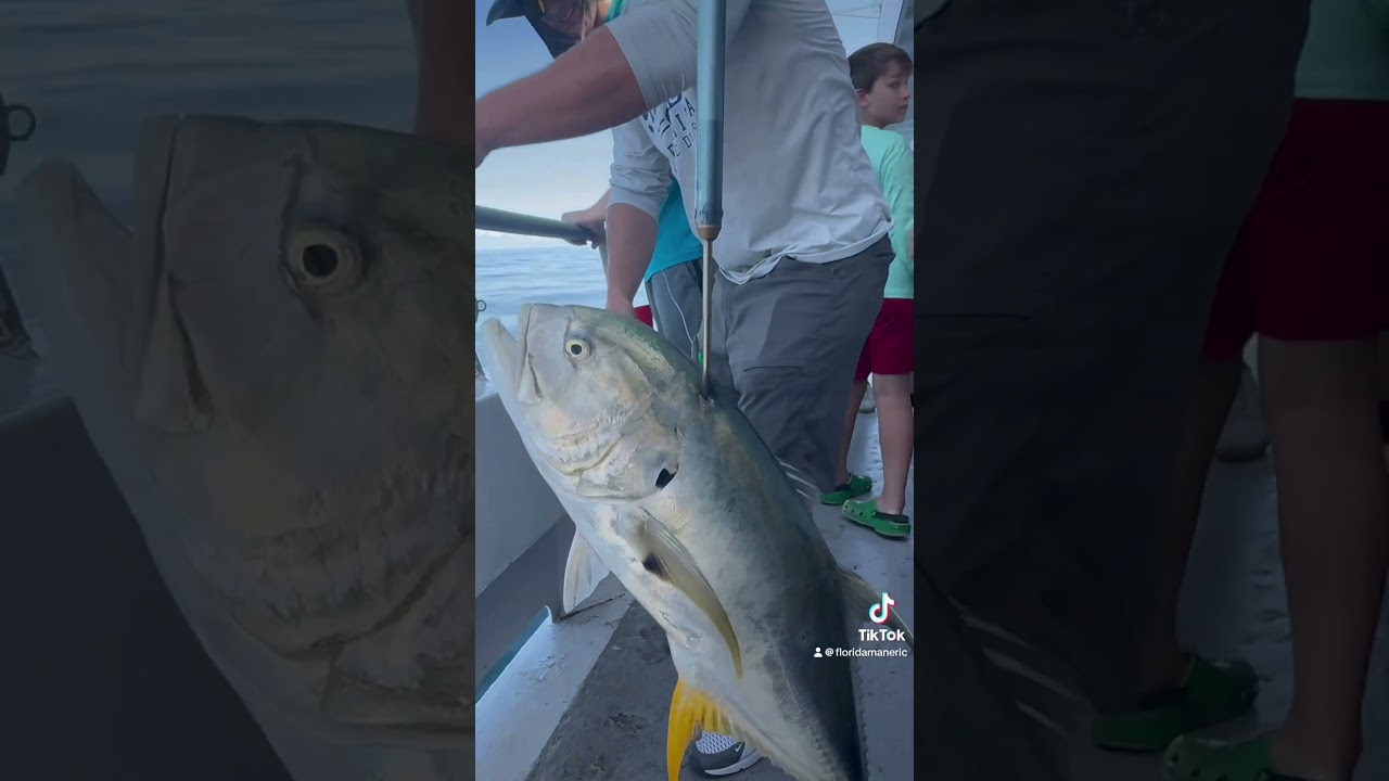 That time we caught a Crevalle Jack! 