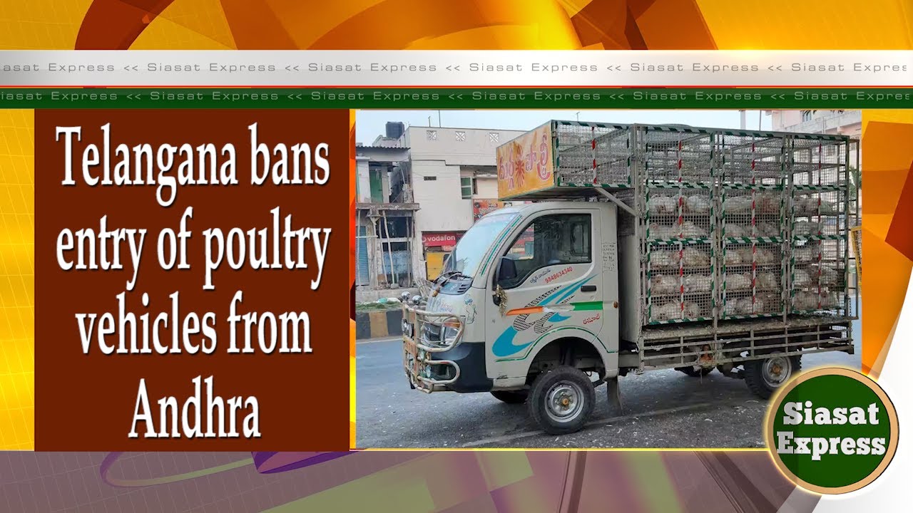 Telangana bans entry of poultry vehicles from Andhra | Siasat Express @ 04pm | 11-Feb-2025