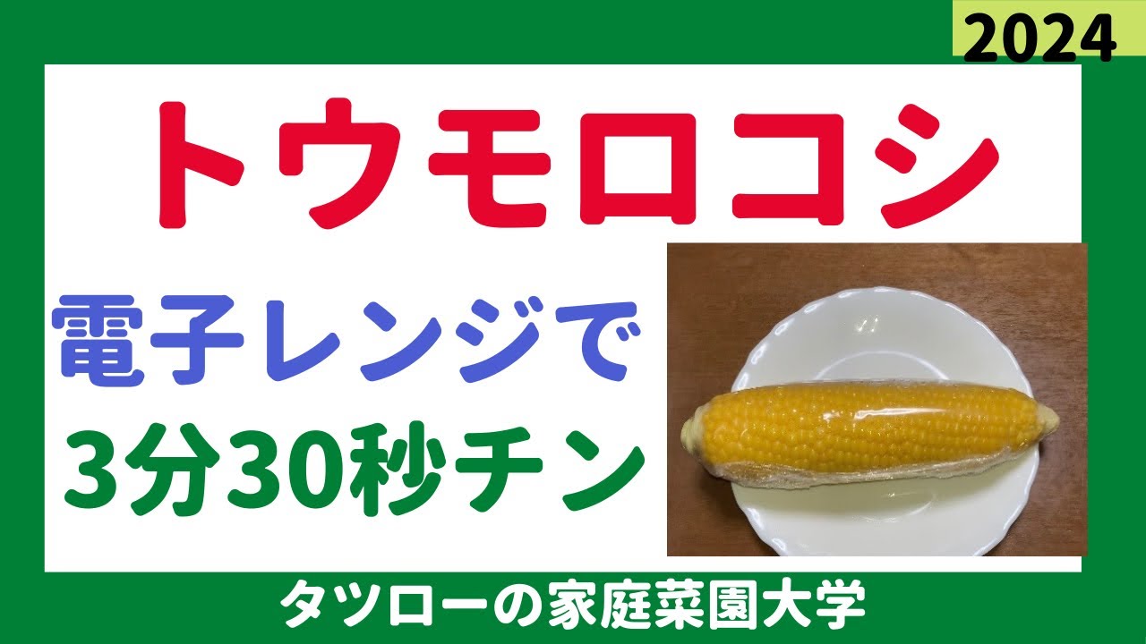 とうもろこし レンジ 何 分