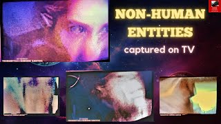 Non-Human13-Instrumental Transcommunication- E.t.alienstranscomunicação-Tciseattle-Simone Santos