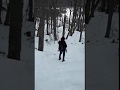 Bosque nevado. Ushuaia Tierra del Fuego - Aegentina.