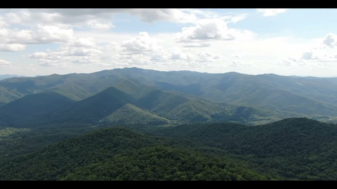 The Watcher in the Woods | True Appalachian Horror Story