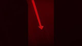 The Mistake That Killed My Saas