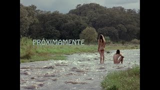 Siddhartha - Cardúmenes (Video Teaser)