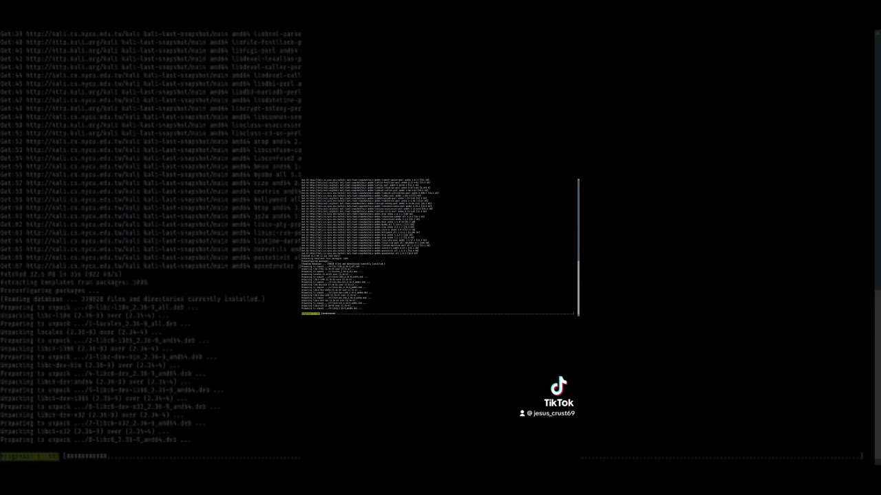 Do the Hollywood hacker interface in your Ubuntu 