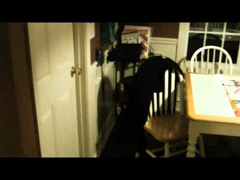 Poltergeist Caught on Tape Shaking Door