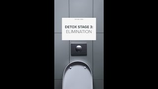 Detox Stage 3: Elimination