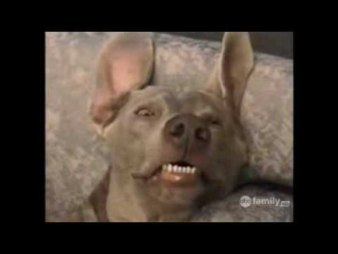 Let It Lay Video