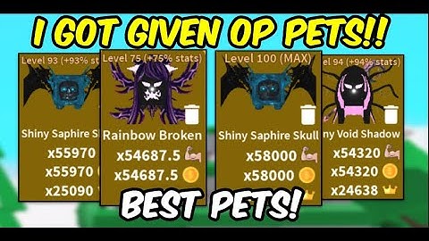 I WAS *GIVEN* INSANE PETS IN SABER SIMULATOR (BEST PETS) / Roblox Saber Simulator [ROBLOX]