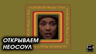 Королева неосоула. Erykah Badu – Mama’s Gun