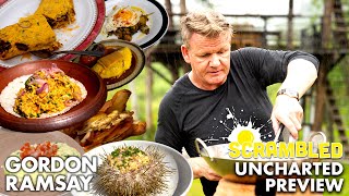 Famous Gordon Ramsay is Making Scrambled Eggs Around the World | Scrambled Profile
