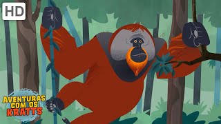 Primatas | Orangotangos, macacos, tarsiers + mais! [episódios completos] Aventuras com os Kratts