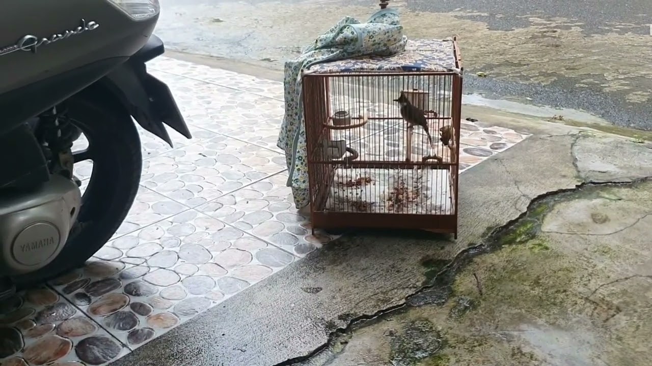 AE XEM RỒI GHI NHỚ ĐỂ NGÀY CÀNG ĐÚC KẾT THÊM NHIỀU KN CHO MÌNH NHÉ❤