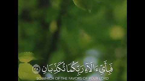 القارئ اسلام صبحي | ارح سمعك.. تلاوة هادئة تريح القلب والعقل💙🎧