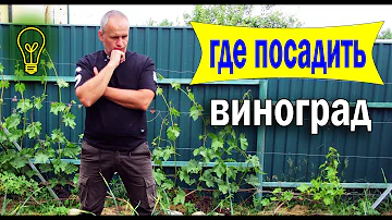 🔴🔴Где посадить виноград.  Выбираем место для посадки винограда.