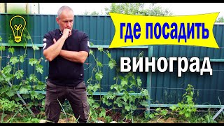 🔴🔴Где посадить виноград.  Выбираем место для посадки винограда.