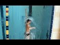 Swimming (Individual Medley) / Michael Phelps & Ryan Lochte 수영 (개인혼영) / 마이클 펠프스 & 라이언 록티