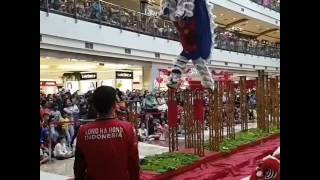Barongsai Kong Ha Hong performance @Pondok Indah Mall 2 Imlek 2017 (Slow-mo)