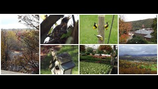 Life Inside The Page Blogspot and Dot Com Blog Sites