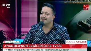 Ahçik - Turgay Coşkun Resimi