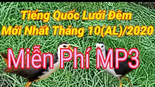 Tiếng Quốc Lưới Đêm Mới Nhất Tháng10 /(AL)2020/SĂN Bắt Miền Tây KG