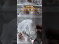 Ostomy Bags FDA & ISO Certified Looking for Local Representatives Worldwide