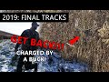 WE WERE CHARGED BY A BUCK!!! - Final Tracks - The Callie Chronicles