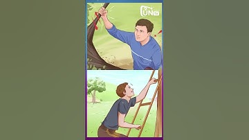 Cây Oan Hồn 300 Tuổi Mọc Giữa Đường Ở An Giang Không Ai Dám Chặt Kể Cả Vua Khỉ Miền Tây #Shorts