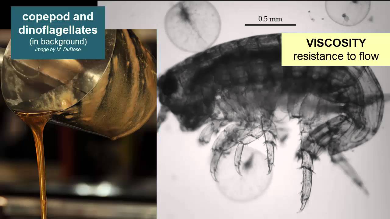 Light, Viscosity, & Pressure in the Oceans