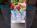 Eat &amp; Drink ANYWHERE! 3 Portable Food Prep Tools for Travel