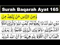 Surah Baqarah Ayat 165 Surah Baqarah Ayat 165 Al Baqarah 165 Al Baqarah Verse 165 Baqarah 165 Surah Baqarah Ayat 165 Surah Baqarah Ayat 165 Al Baqarah 165 Al Baqarah Verse 165 Baqarah 165