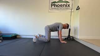 Quadruped Knee Taps