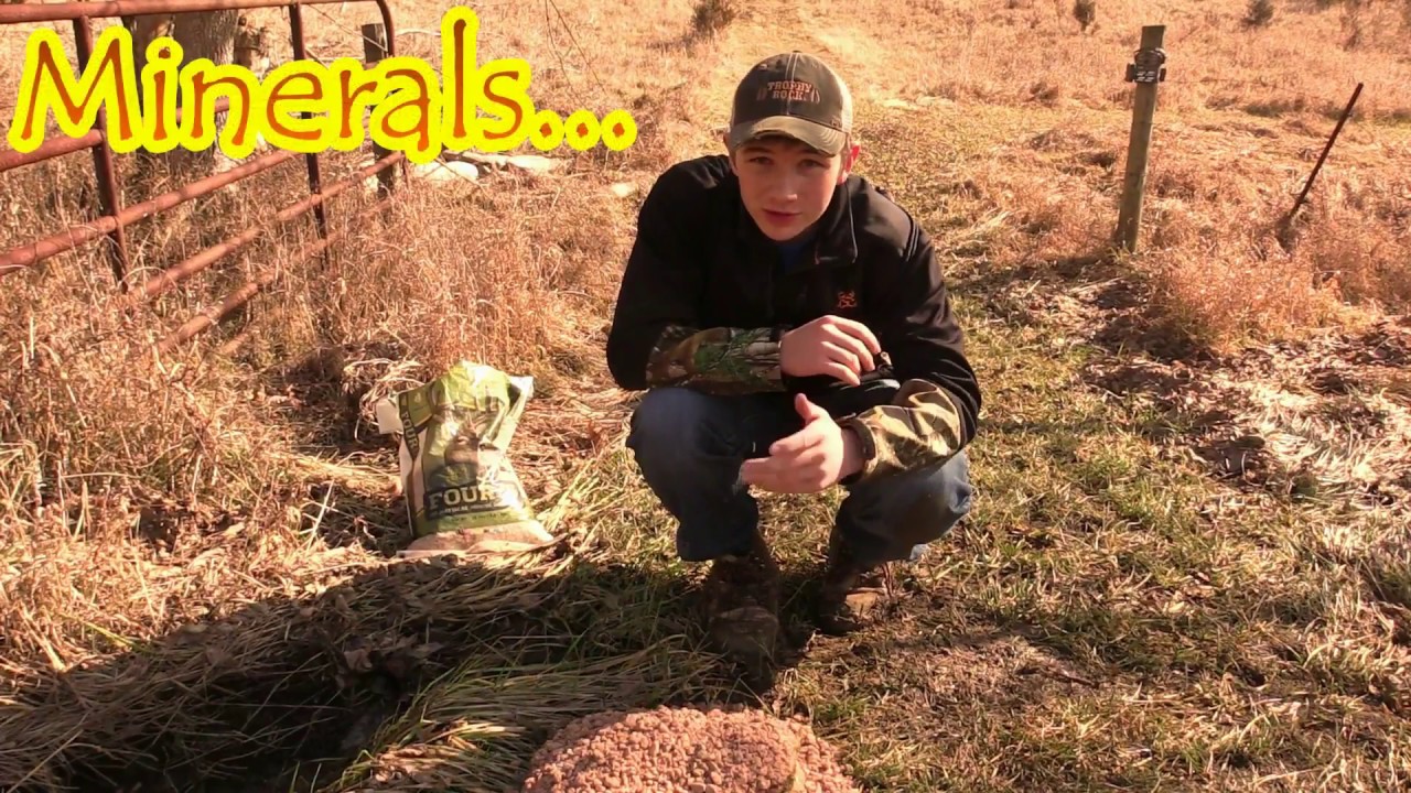 Late Season Deer Management Tactics - YouTube