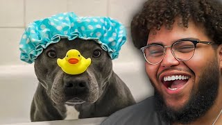 Memes That Just Hit The Spot