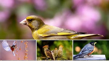 Parallax Slideshow Sample