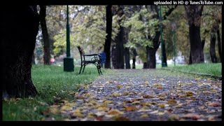 Quran Tilawat  - Surah 039 - Az-Zumar (The Groups)-- Abdul Aziz Al Ahmed