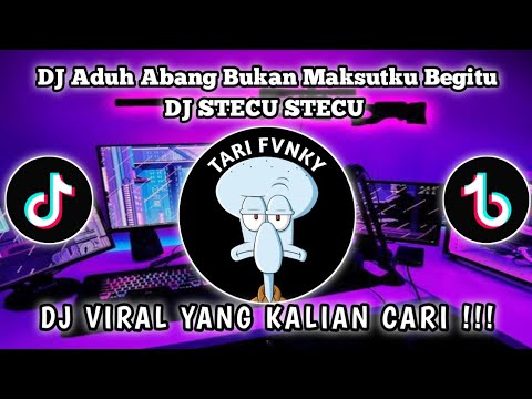 DJ ADUH ABANG BUKAN MAKSUDKU BEGITU || DJ STECU VIRAL TIKTOK TERBARU 2025 YANG KALIAN CARI!!!