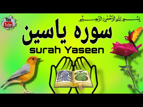 सुबह सुब  Surah Yaseen सुनें । कारोबार में तरक्की होगी |dua for money |dua for success | dua for HD