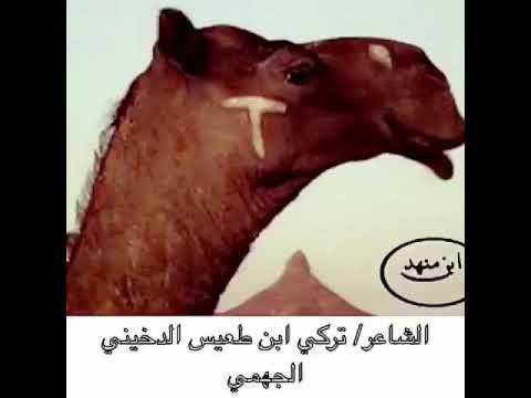 الشاعر تركي ابن طعيس الجهمي