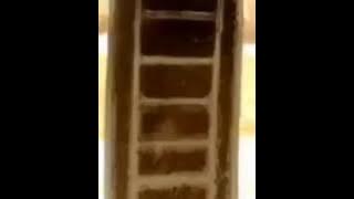 Qosidah AL FAQIH AL MOQODAM