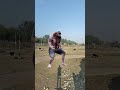 Part 704 A Wolf in village#wolfsounds#relaxinwolf#wolfsong#wildlife#wolf#forest#nature#shorts