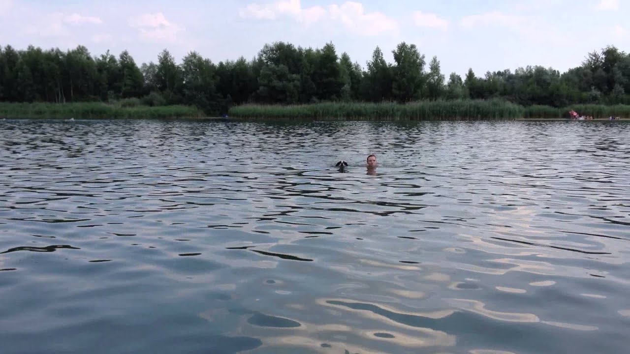 Tamino beim Baden (Kaulsdorfer See)