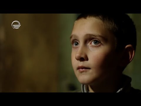 Crystalbet და პრაიმშოუ გენგაშვილების ოჯახის დასახმარებლად