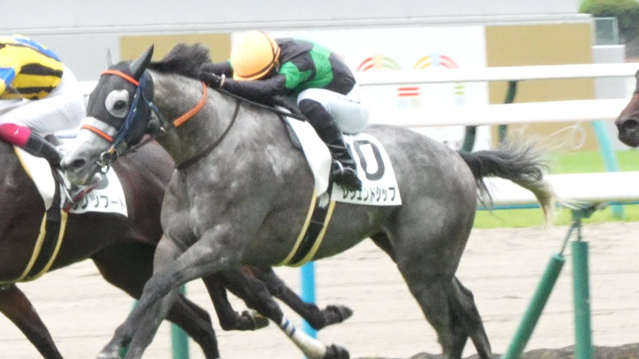 レジェンドシップ　3歳以上1勝クラス　パドック、返し馬、スタート、ゴール